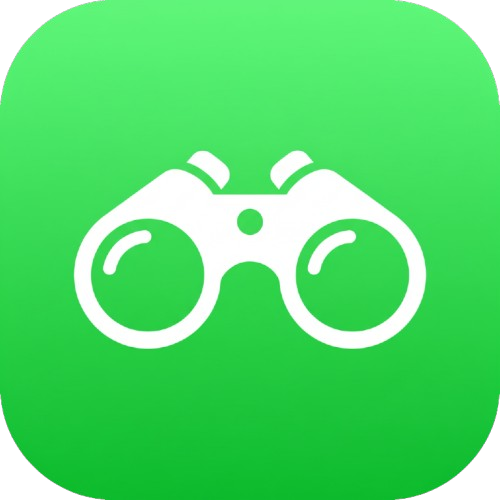 TheCreatorStrategy com